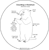 Groundhog Day Early Fluent Reader Activity Book - EnchantedLearning.com