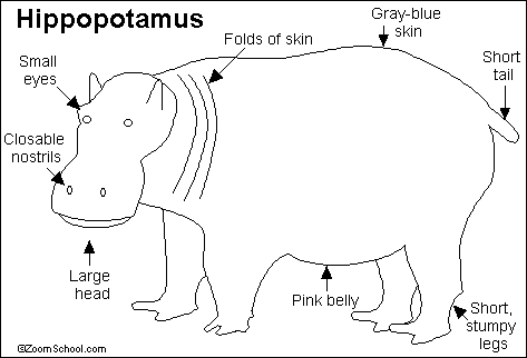Hippo Printout- EnchantedLearning.com