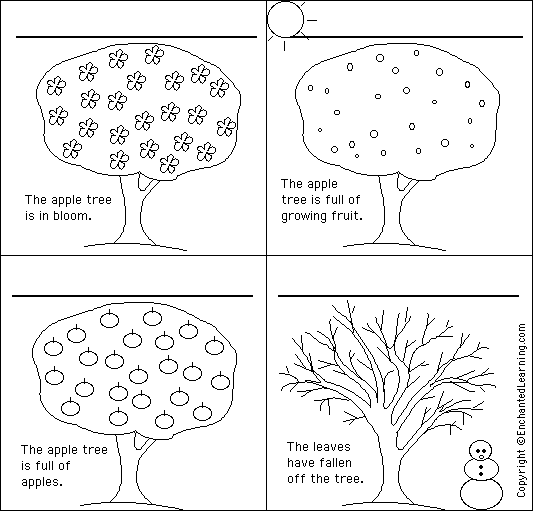 Label the yeasons of the year (les saisons de l'année) in French