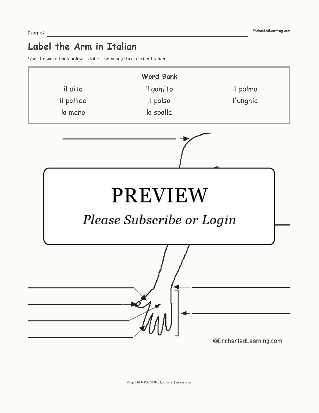 Label the Arm in Italian Enchanted Learning