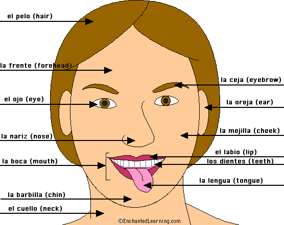 AprendeIngles-LearnSpanish - Want you learn Spanish?