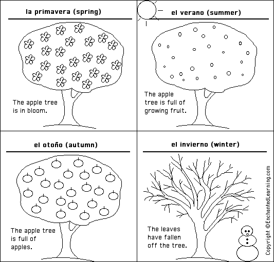 Label the seasons of the year 'las estaciones del año' in Spanish Printout Answers