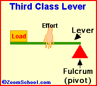 Levers- EnchantedLearning.com