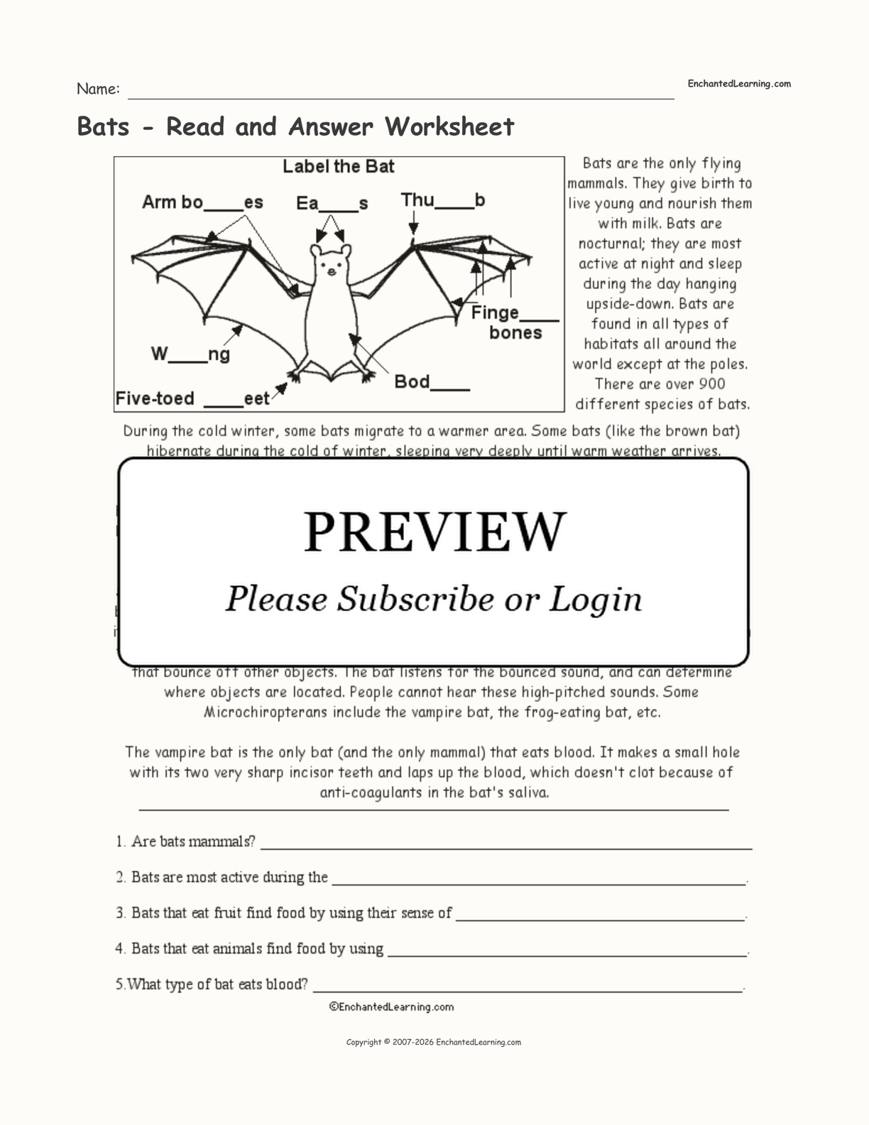 Bats Read and Answer Worksheet Enchanted Learning