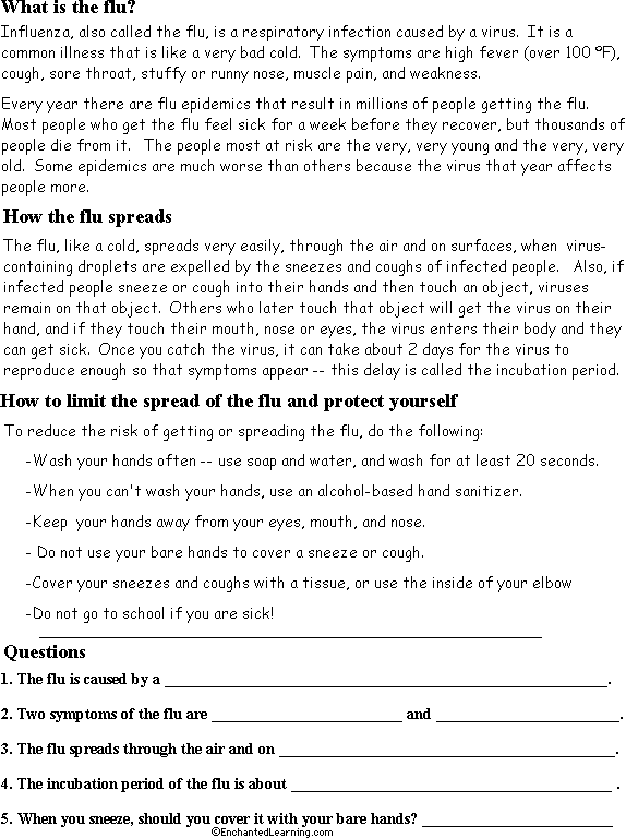 Flu and Cold Virus Read and Answer Worksheet