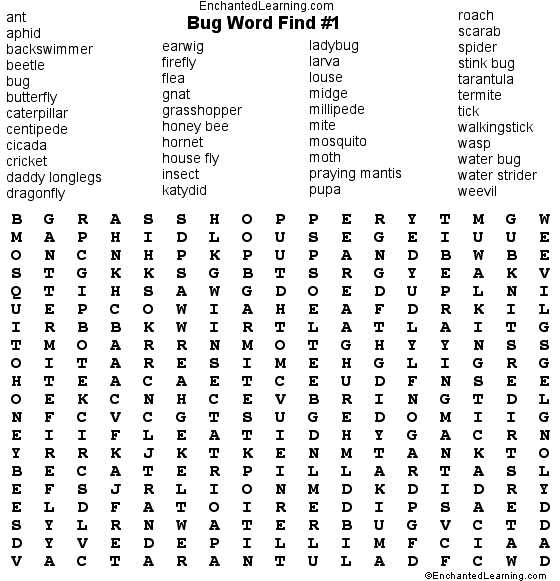 Bug Wordsearch Puzzle Puzzle Enchanted Learning Software