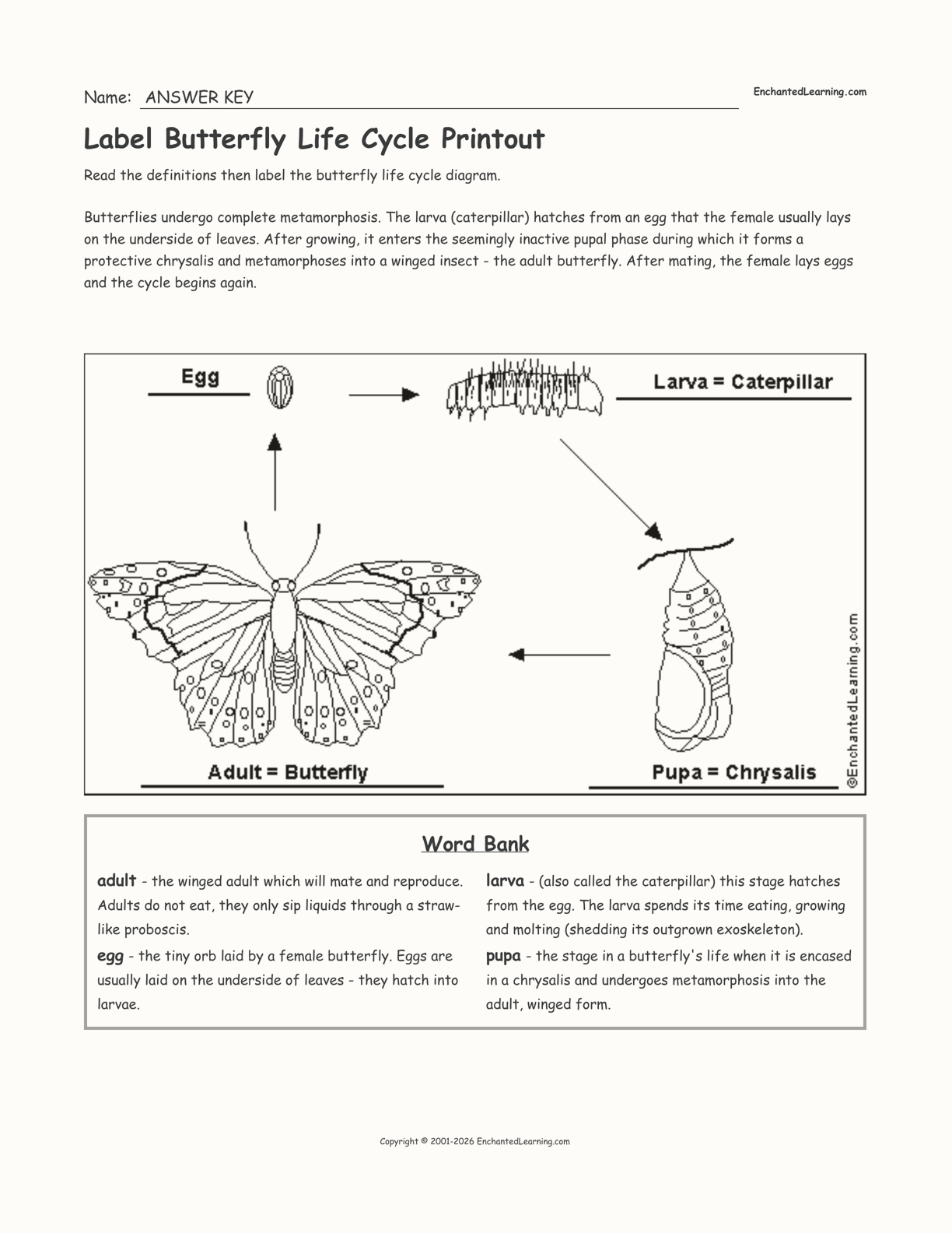 Label Butterfly Life Cycle Printout Enchanted Learning