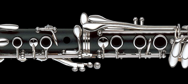 Cursos y clases de en Zaragoza