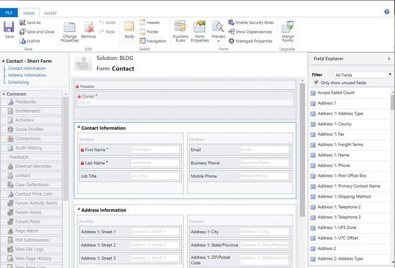 Guide to Entity Forms for Power Apps Portals in Dynamics 365 (2023)