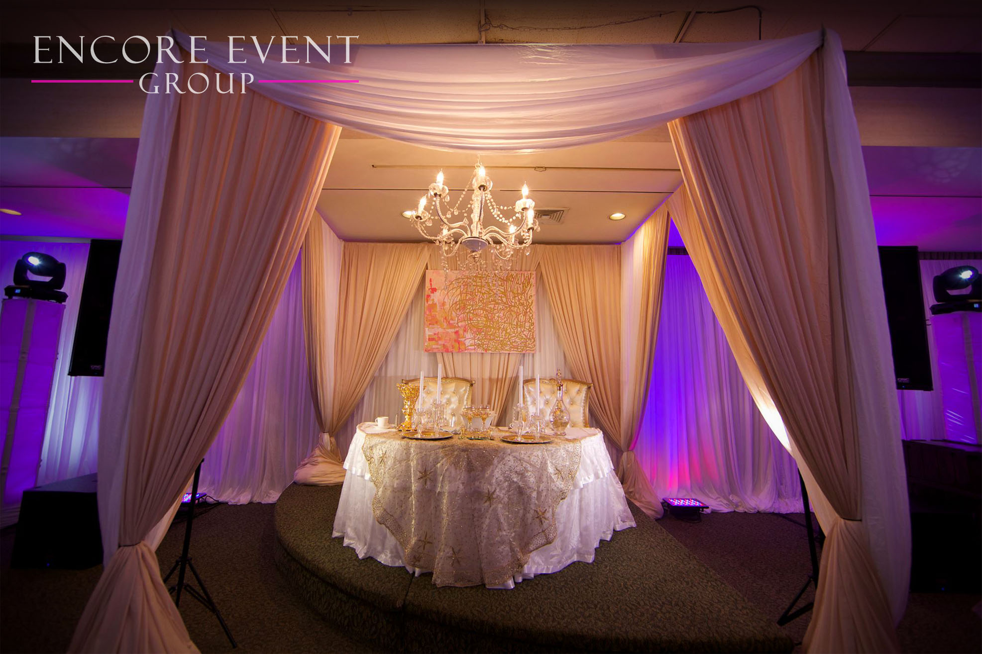Dearborn Headtable Wedding Drape Thrones Michigan Wedding DJ