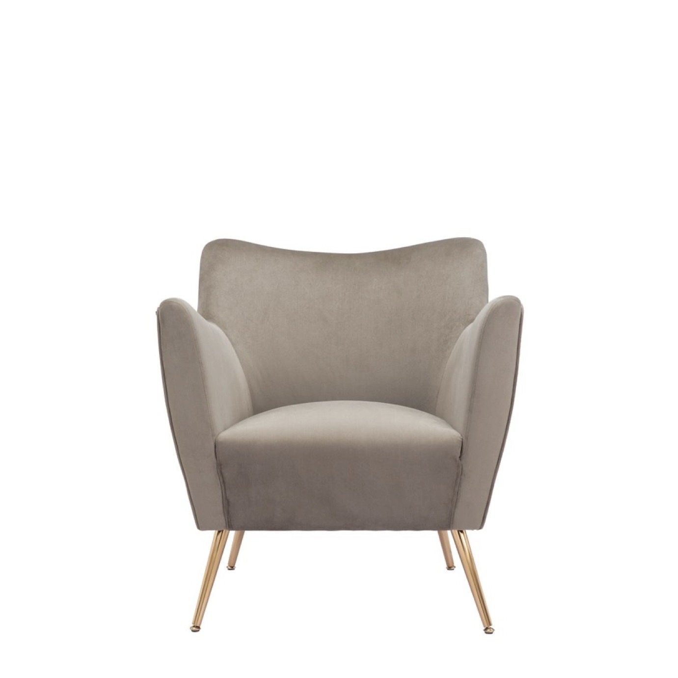 Mink Velvet Chair Encore Events Rentals Encore Events Rentals