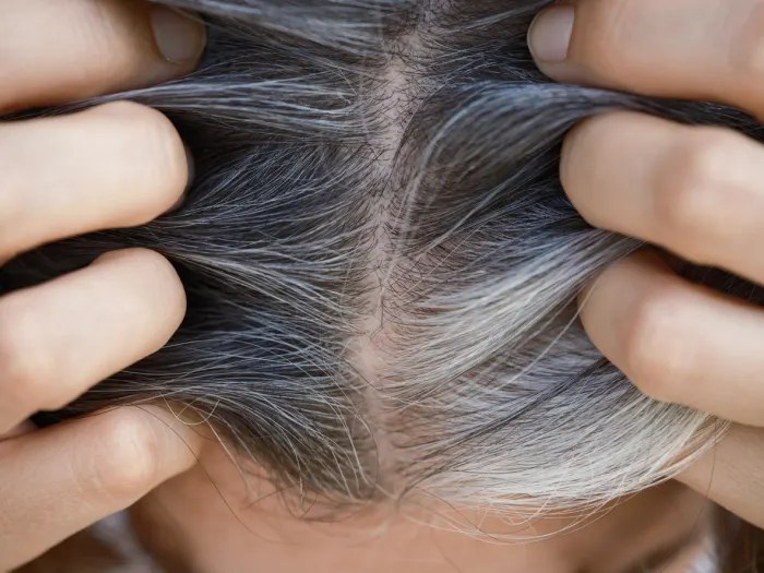 Science Now Knows Why We Get Gray Hair