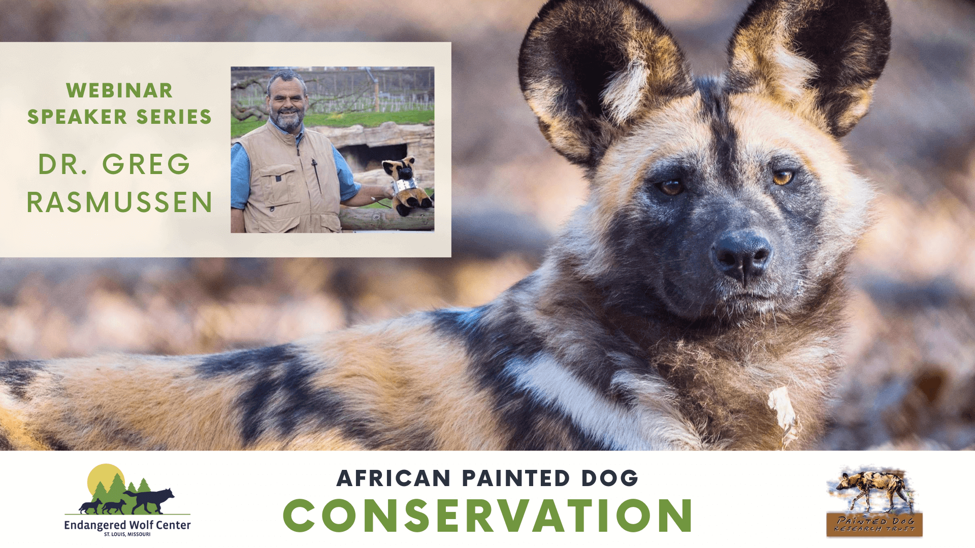 inar Speaker Series African Painted Dog Conservation with Dr. Greg