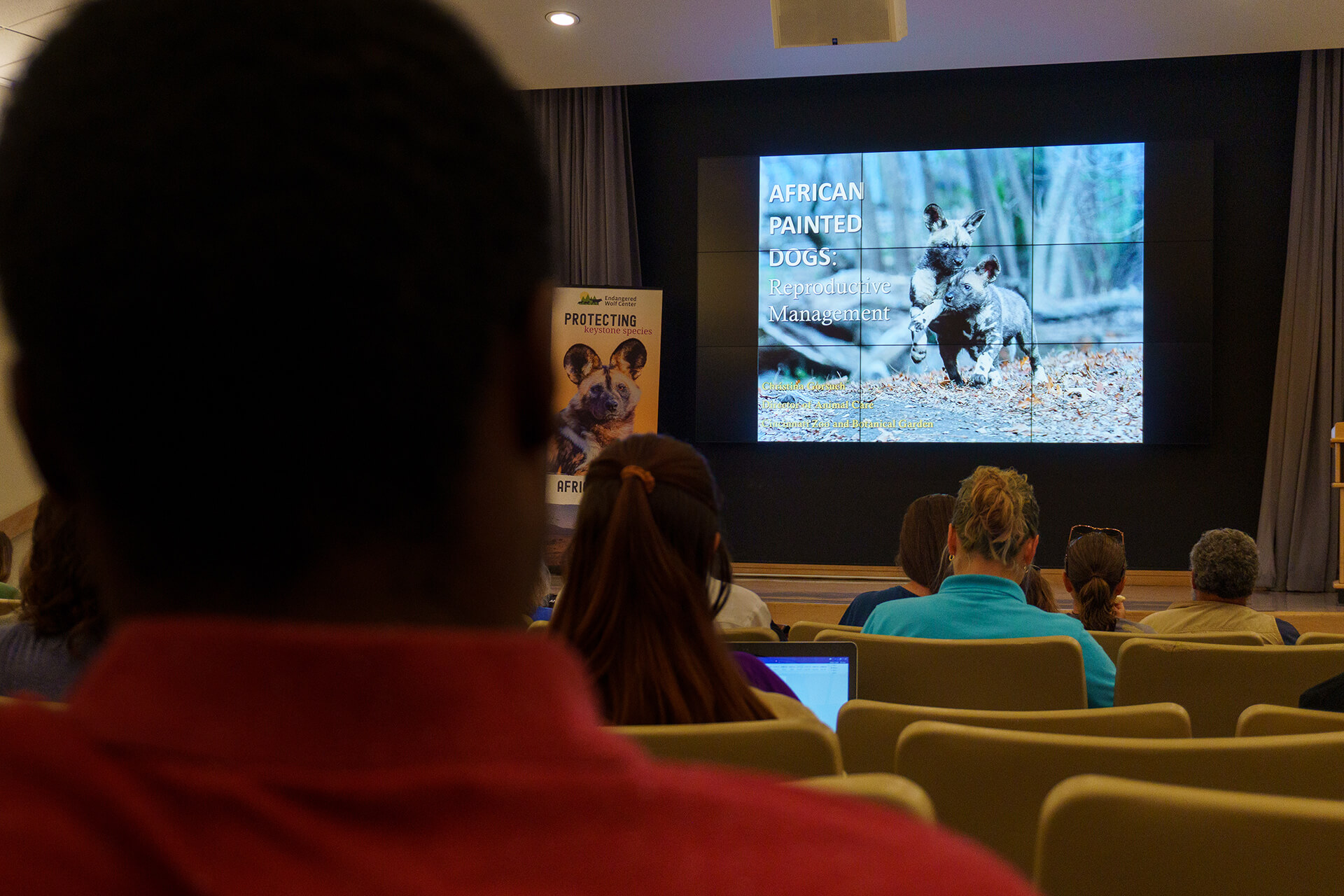 Highlights of the 4th International African Painted Dog Conference
