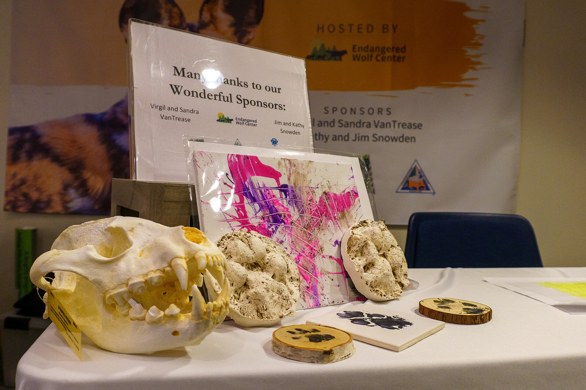 Highlights of the 4th International African Painted Dog Conference