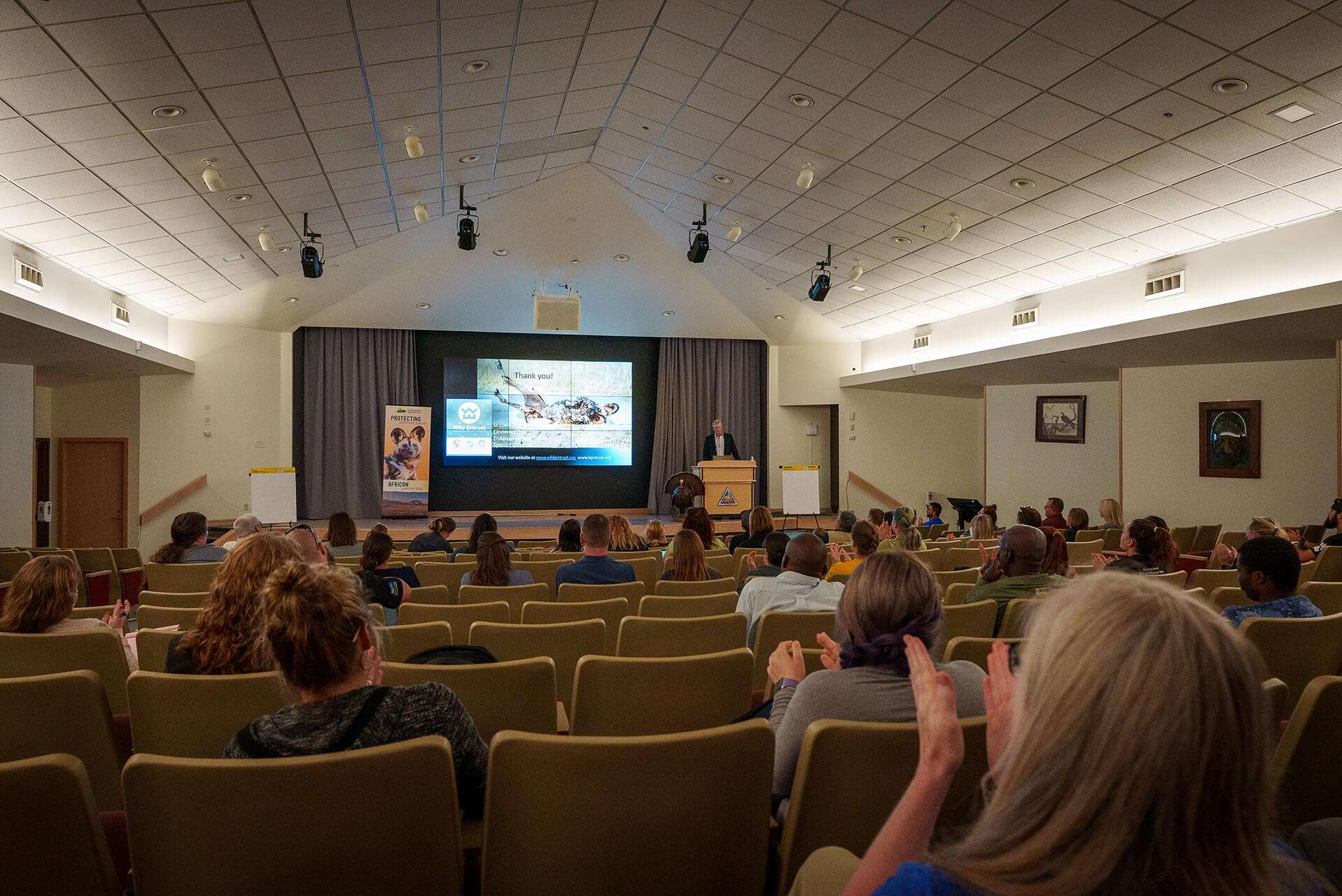 Highlights of the 4th International African Painted Dog Conference