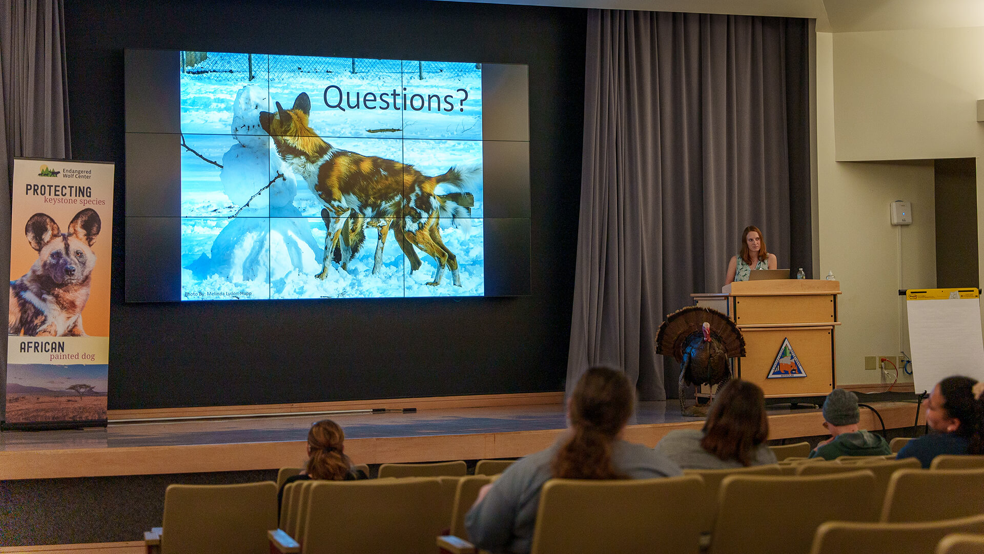 Highlights of the 4th International African Painted Dog Conference