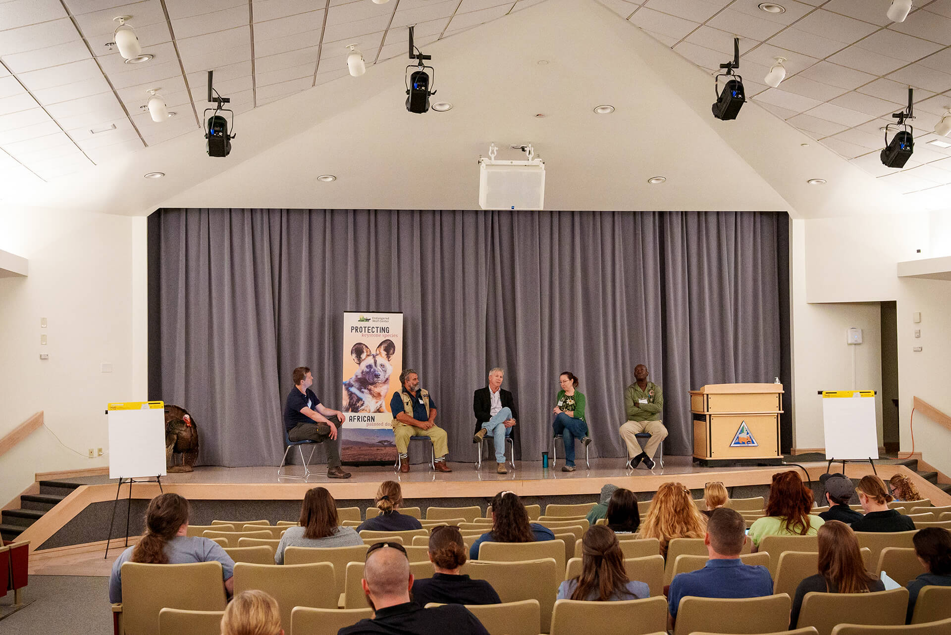 Highlights of the 4th International African Painted Dog Conference