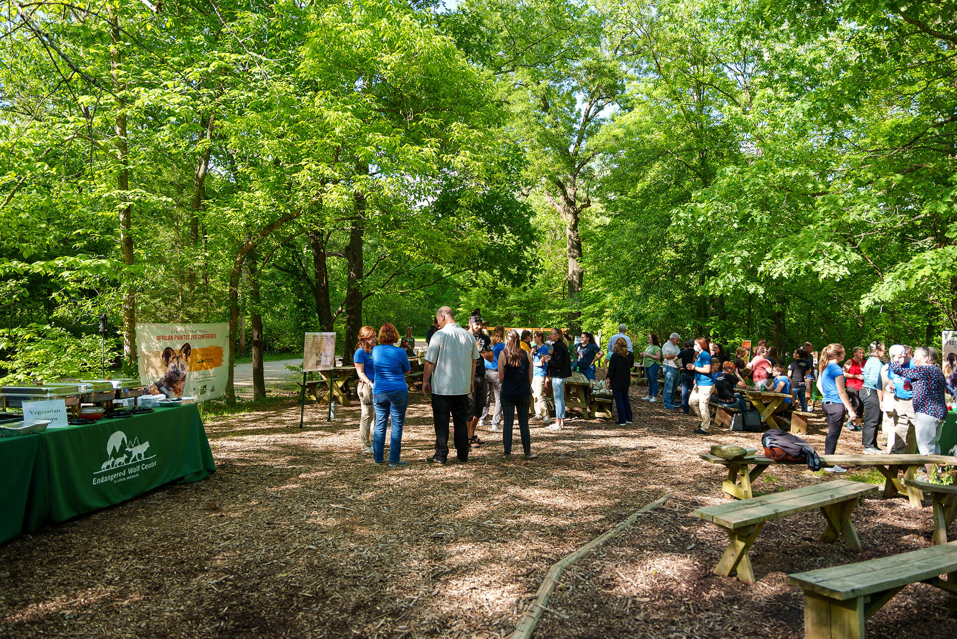 Highlights of the 4th International African Painted Dog Conference