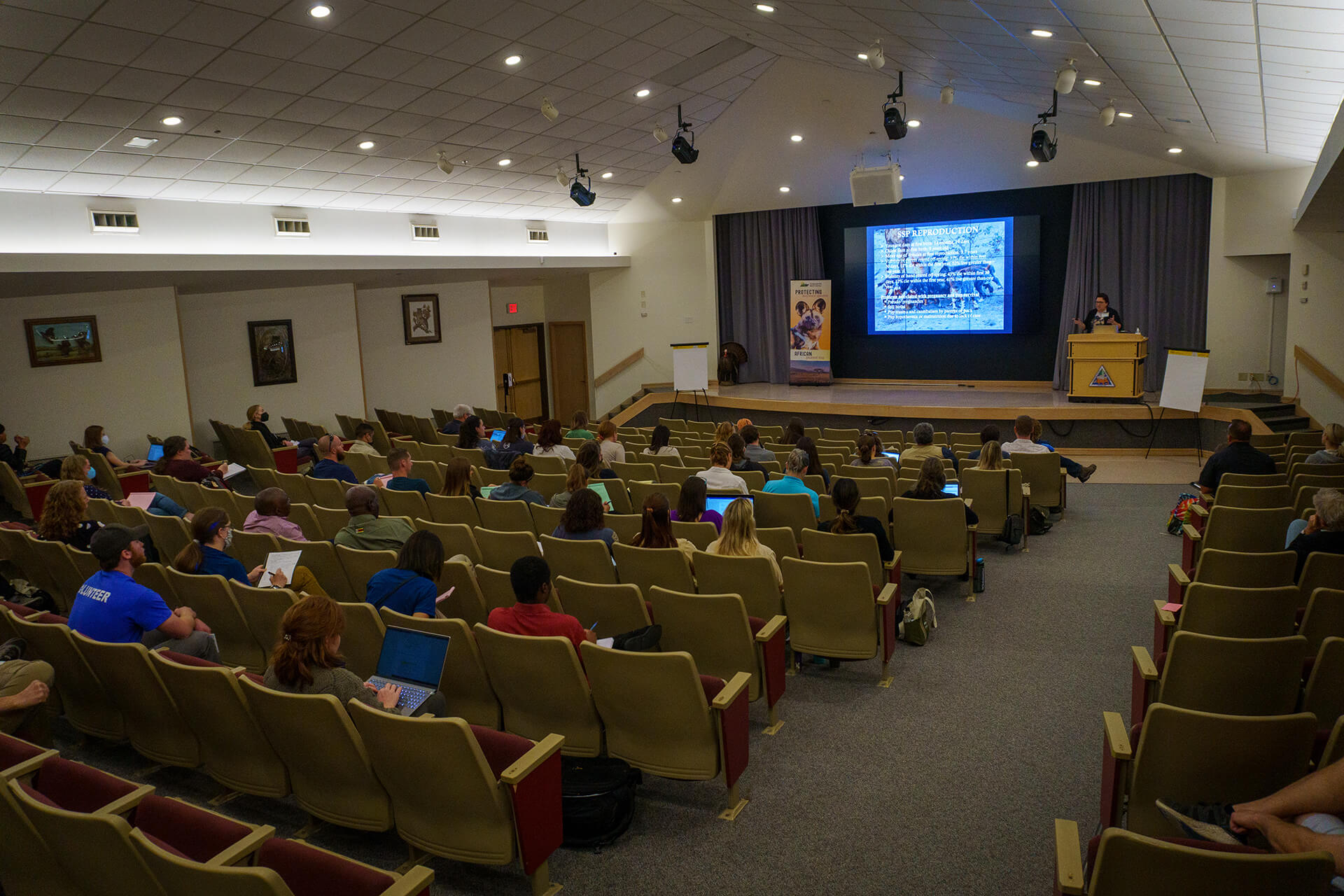 Highlights of the 4th International African Painted Dog Conference