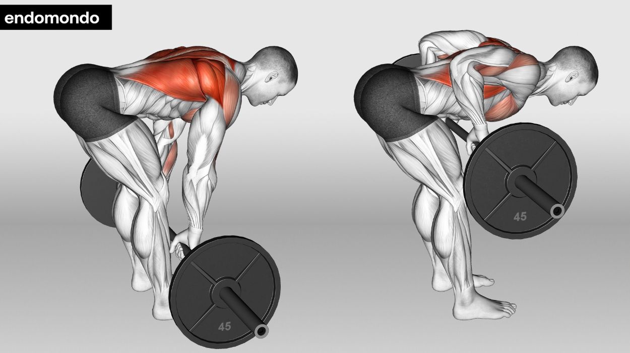 10 Lat Pulldown Alternative Exercises For A VShape Body In 2024