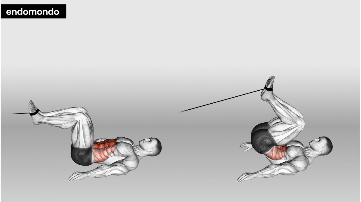 Cable Ab Workouts To Help You Carve A RockSolid Core 2024