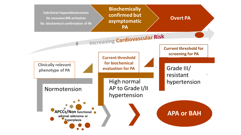 Venn Diagram Of Adh And Aldosterone