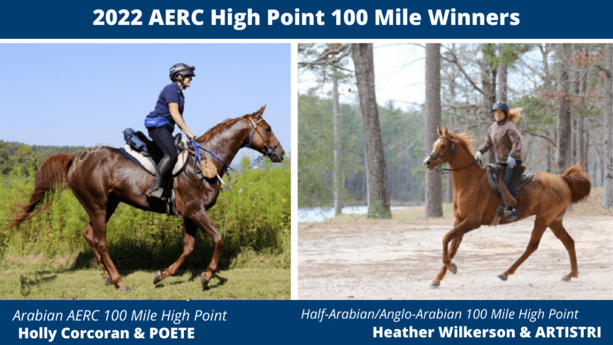 USA News Arabian Horse Association Recognizes 2022 AERC