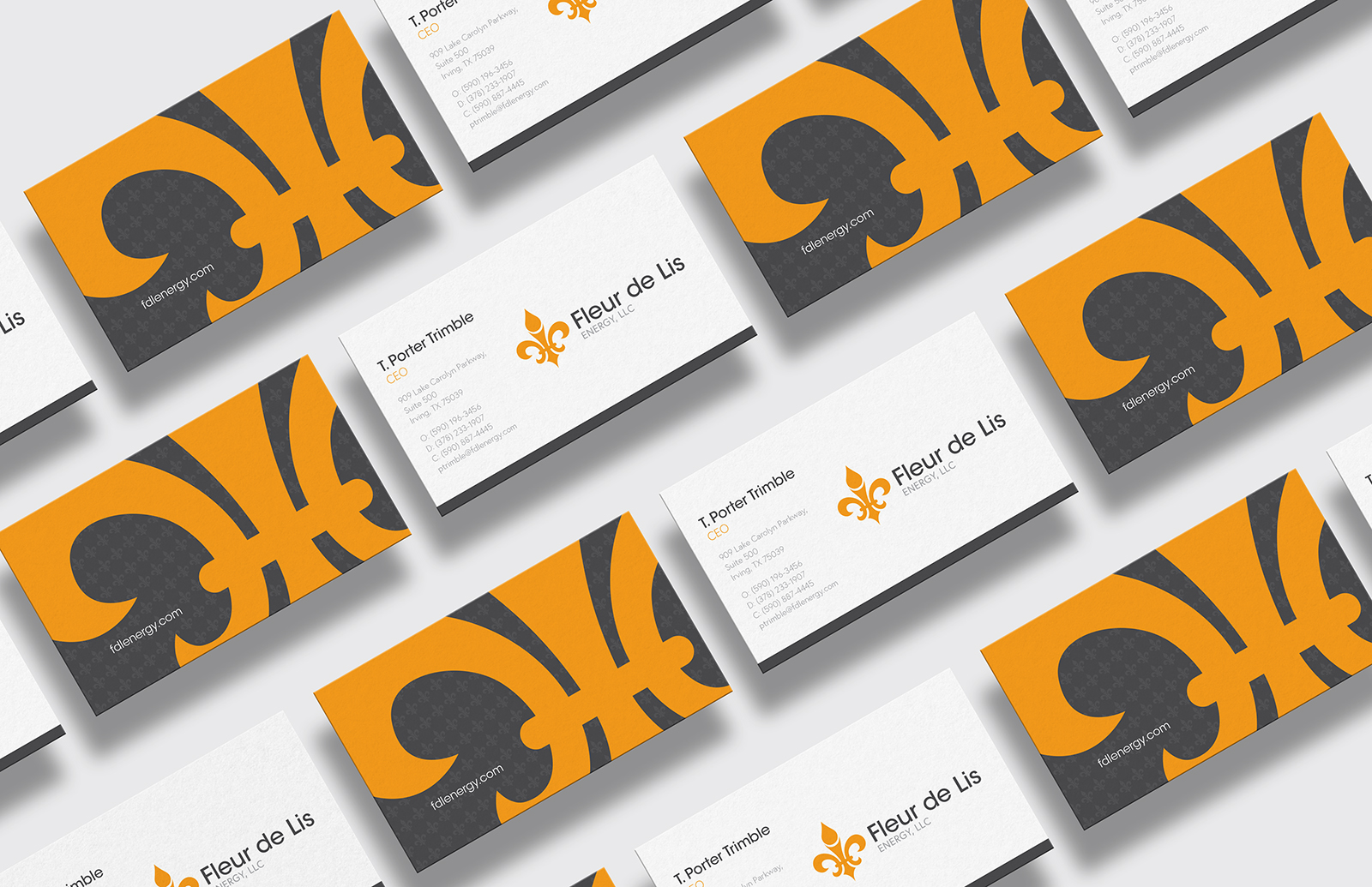 Fleur de Lis Energy Inc.