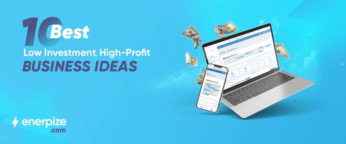 10 Best LowInvestment, HighProfit Business Ideas
