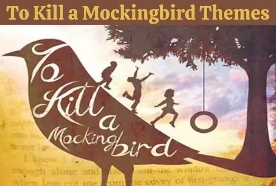 Theme "To Kill a Mockingbird" All about English literature