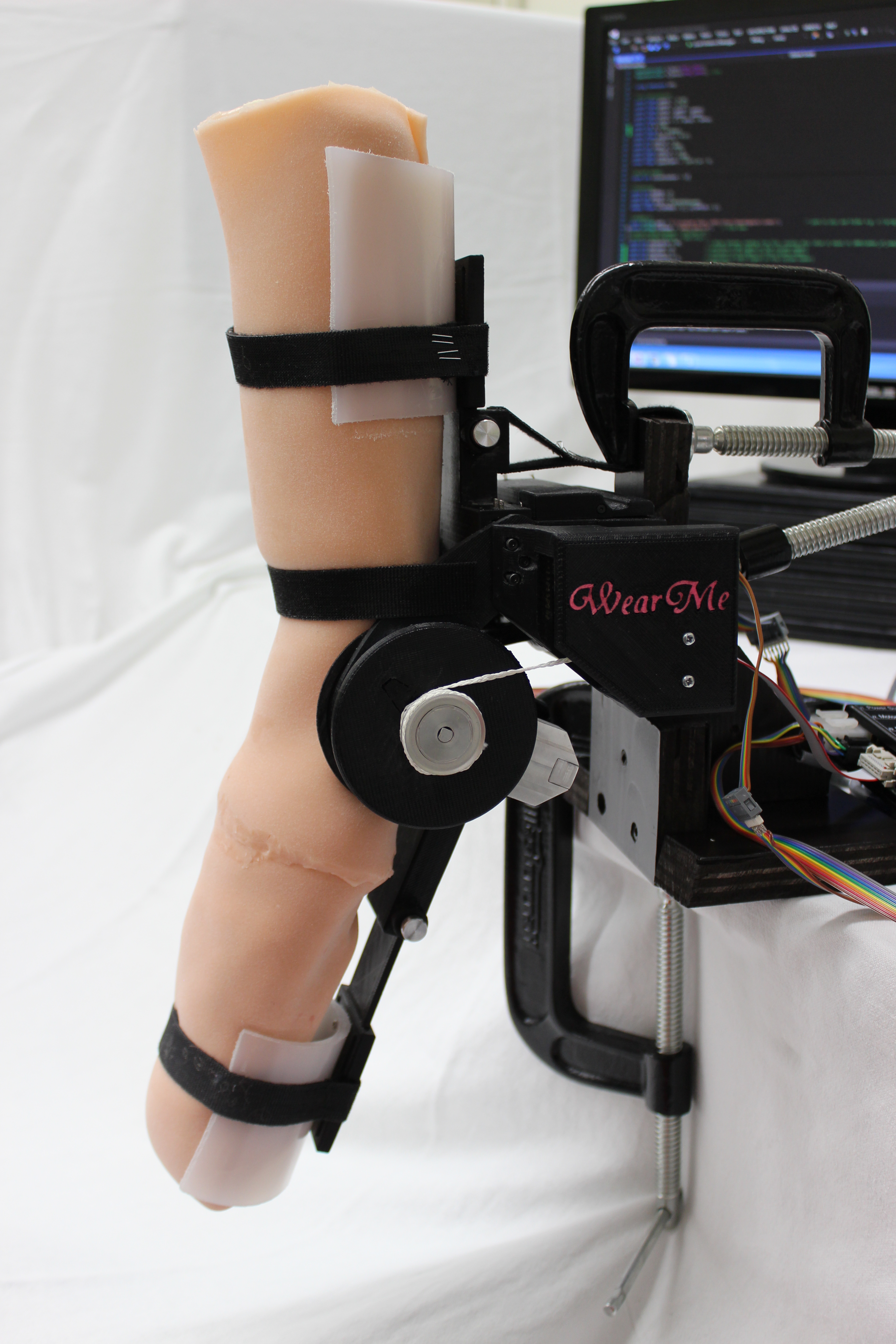  The Wearable Biomechatronics Laboratory Western University