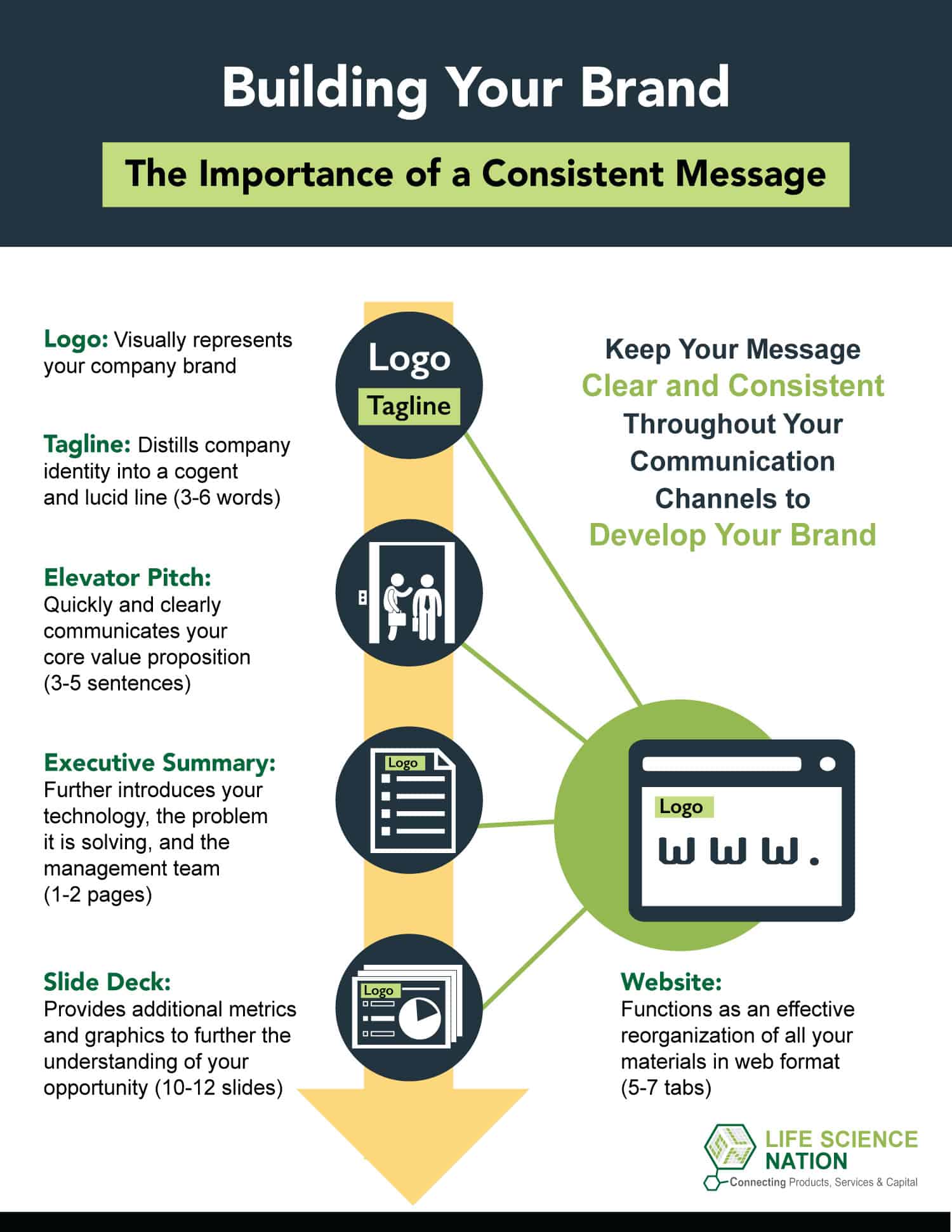 Understanding the 4 Key Steps to Brand Development Brief 2023 Guide(04)