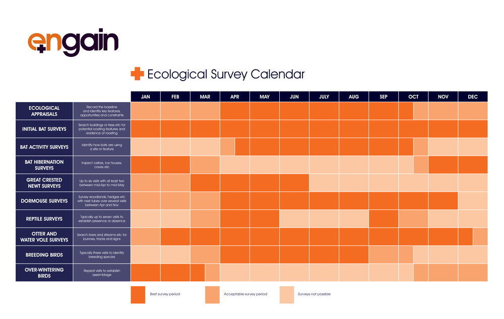 Ecological survey calendar Engain