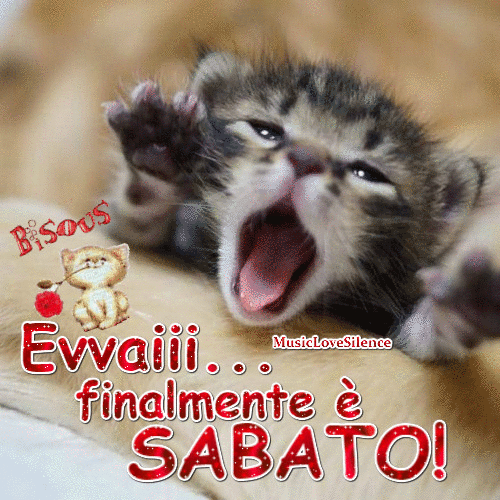GIF, immagini, frasi e messaggi di un felice e buon Sabato