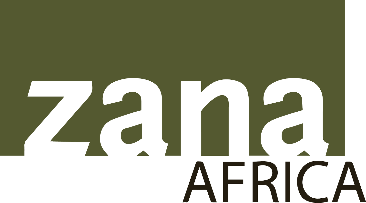 Zana Africa Engineering For Change