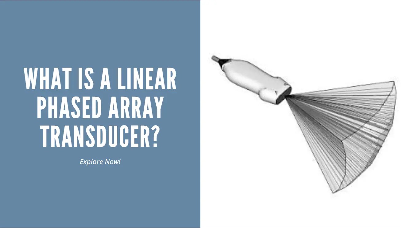 What is a Linear Phased Array Transducer?