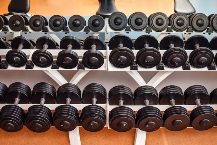 Navigating The World Of Gym Equipment Wholesalers