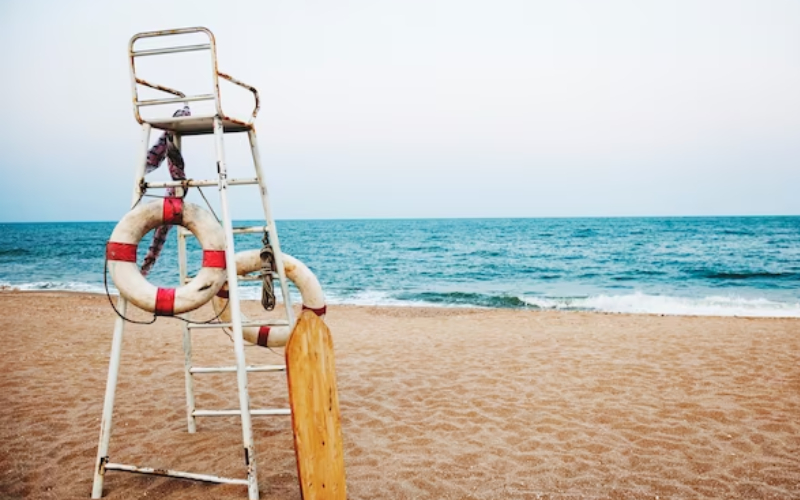 Lifeguard Management Online Resources What Know?
