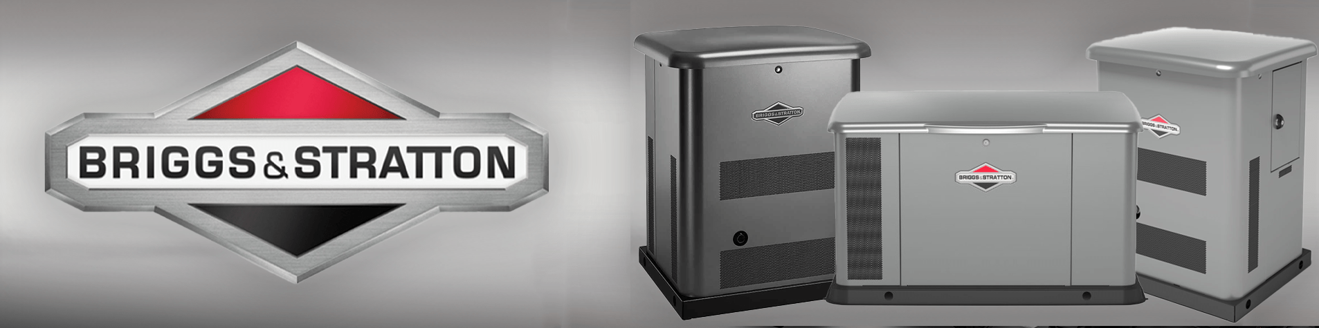 Briggs & Stratton - EngineerSupply