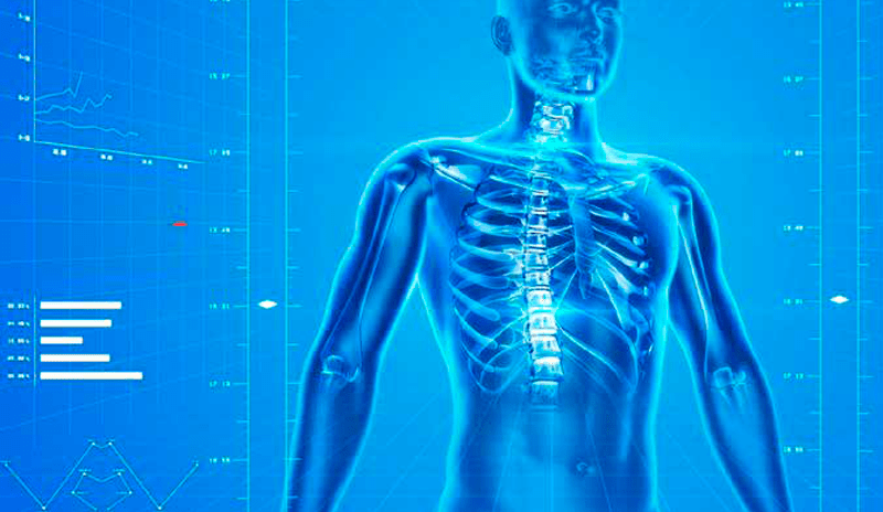 EnginSoft Ansys nCode DesignLife