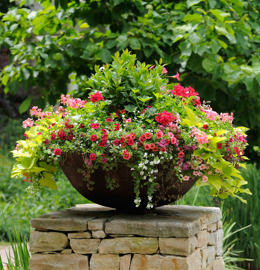 Thrill, Fill, and Spill Three Easy Steps to Container Gardening