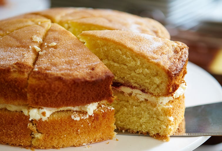 Can Dogs Eat Victoria Sponge Cake