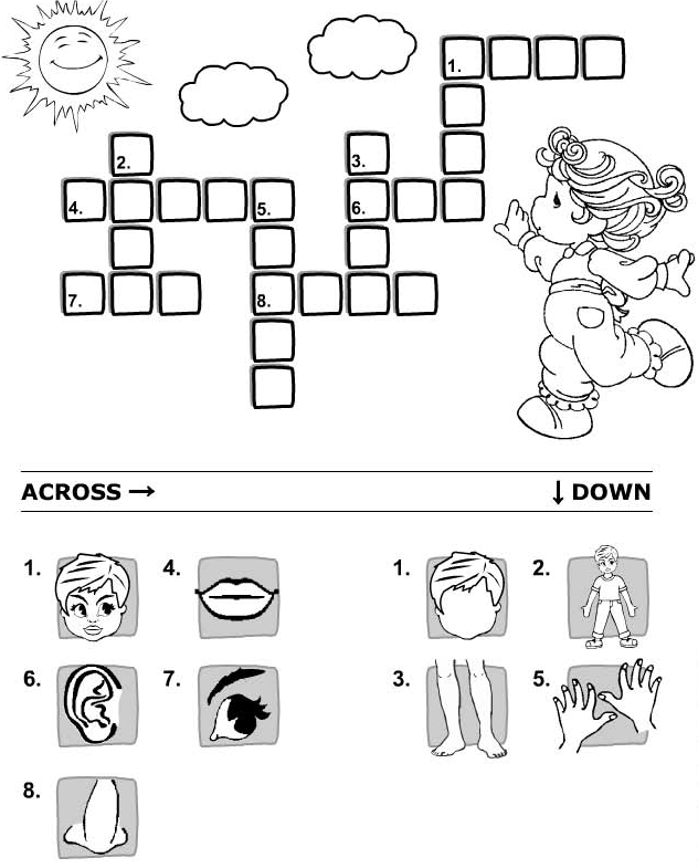 English Exercises Parts of the body