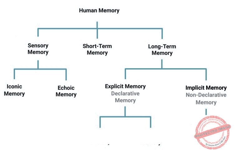 Memory Diagram Psychology Diagram Media