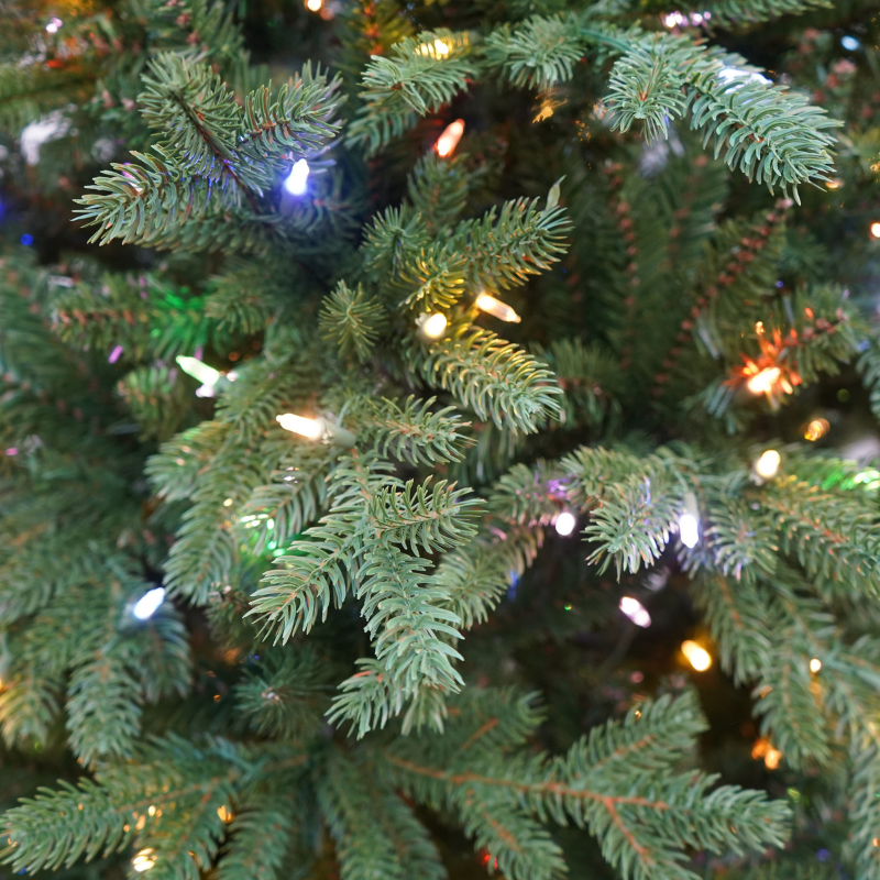 4172DeluxePacificCoastFraserFirArtificialChristmasTreePrelit