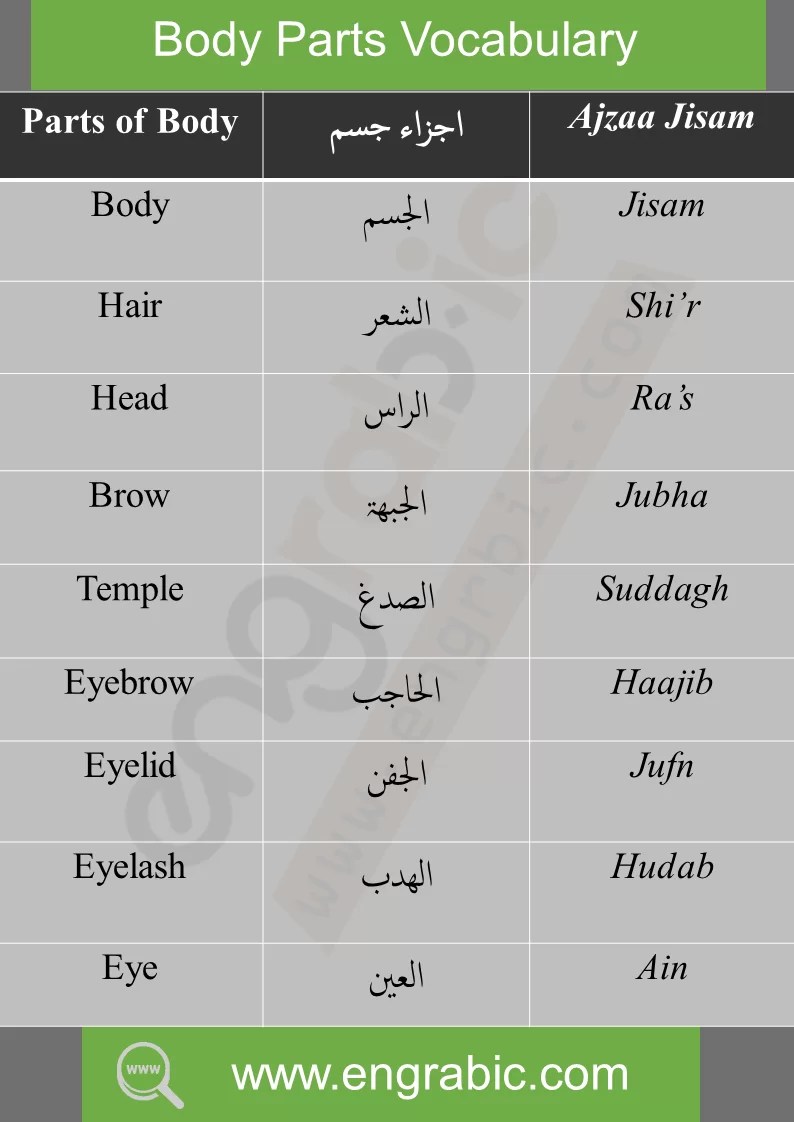 Spare Parts Name In Arabic Reviewmotors.co