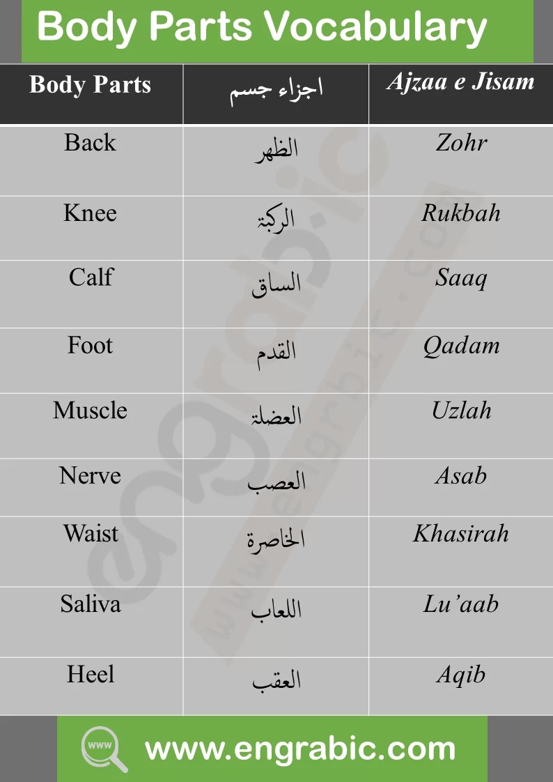Arabic Words And Their Meanings In English / English Arabic Words
