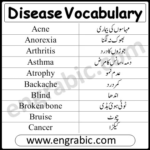 List Of Diseases In Humans | Disease Vocabulary | English And Urdu -