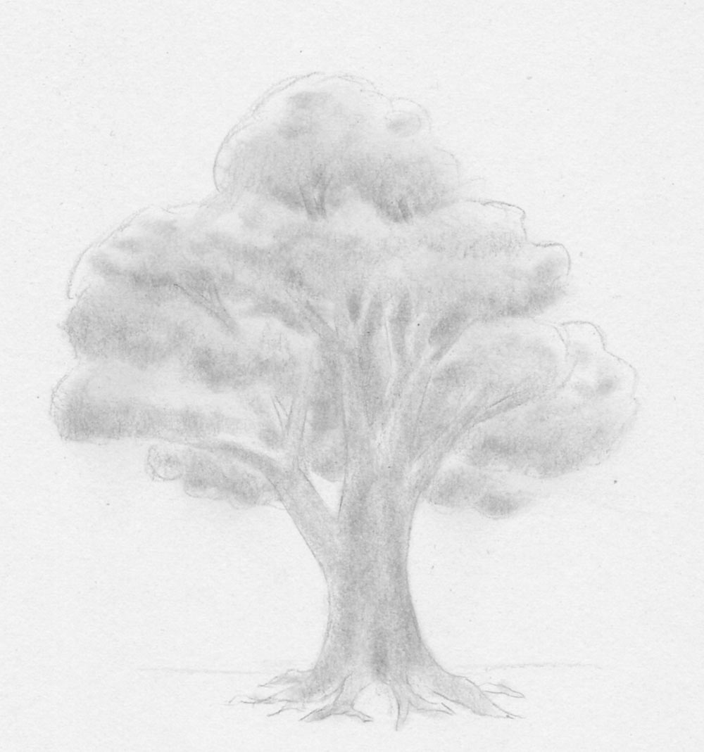 Baum Zeichnen Ohne Blätter Einfach